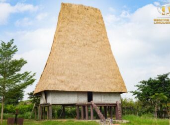 Buôn Mê Thuột là thành phố lớn thứ hai ở Tây Nguyên của Việt Nam, nơi có nhiều điểm du lịch đẹp và hấp dẫn